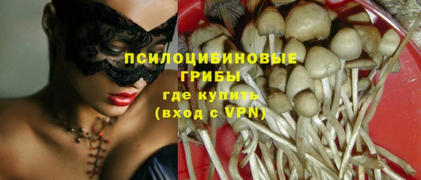 mdpv Алзамай