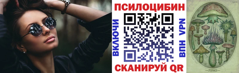 что такое   Новороссийск  Галлюциногенные грибы MAGIC MUSHROOMS 